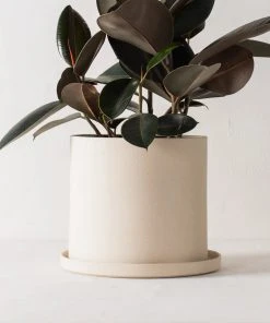 Convivial Minimal Stoneware Planter