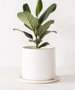 Convivial Minimal Stoneware Planter