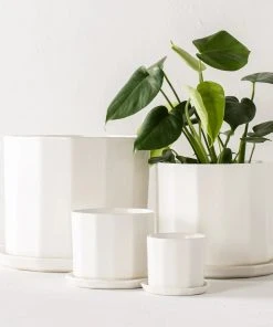Convivial Riveted Porcelain Planter