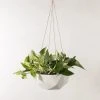 Convivial New Arrivals Geometric Porcelain Hanging Planter