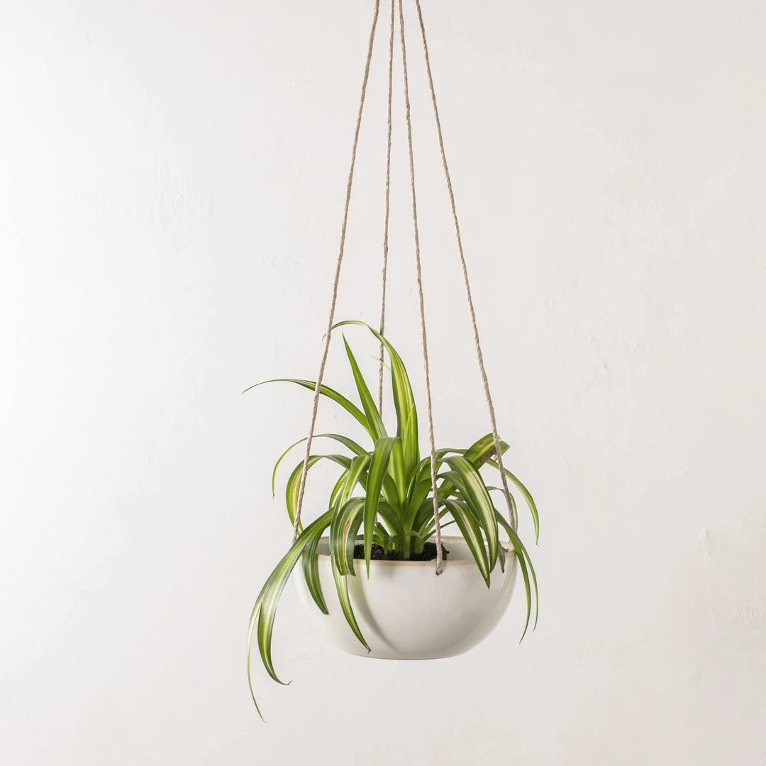 Convivial Minimal Stoneware Hanging Planter New Arrivals 1 Convivial Minimal Stoneware Hanging Planter New Arrivals