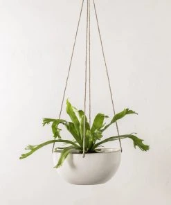 Convivial Minimal Stoneware Hanging Planter New Arrivals 11 Convivial Minimal Stoneware Hanging Planter New Arrivals
