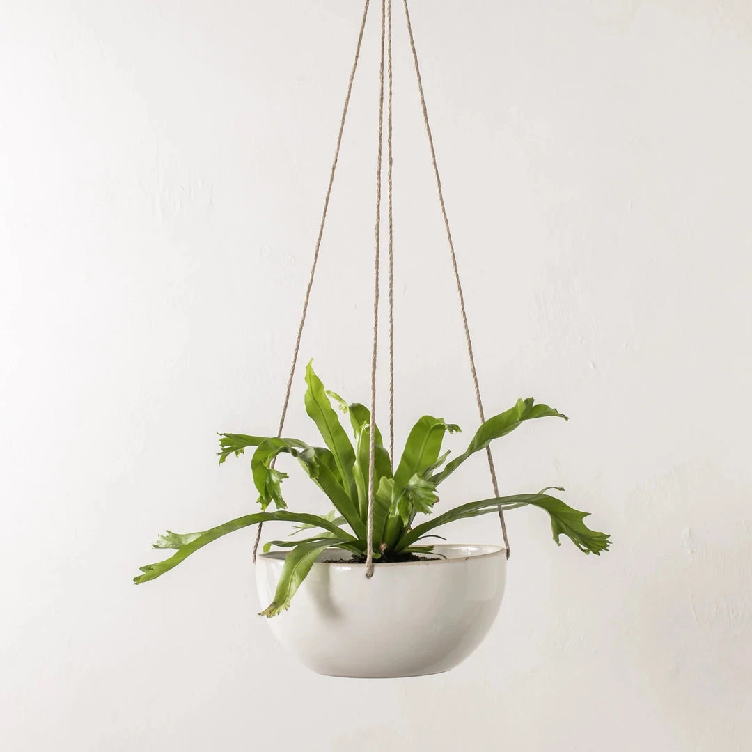 Convivial Minimal Stoneware Hanging Planter New Arrivals 5 Convivial Minimal Stoneware Hanging Planter New Arrivals