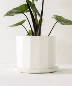 Convivial Riveted Porcelain Planter
