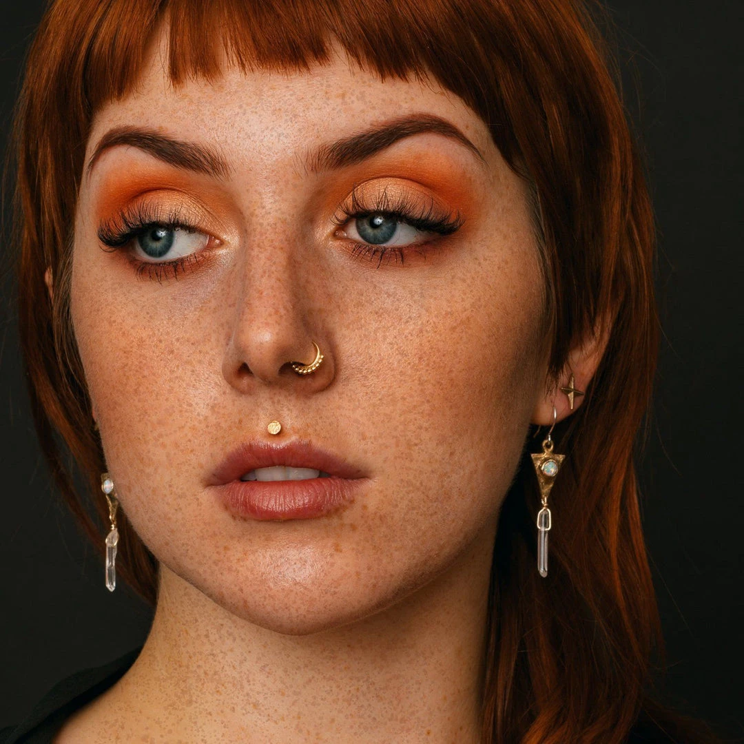 Iron Oxide Dart And Crystal Drop Earrings 3 Iron Oxide Dart And Crystal Drop Earrings