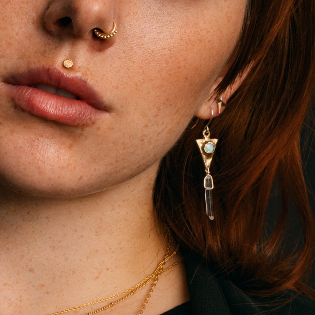 Iron Oxide Dart And Crystal Drop Earrings 4 Iron Oxide Dart And Crystal Drop Earrings