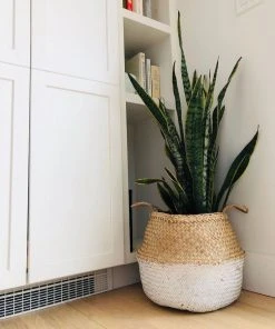 Amante Marketplace Kophinos Basket - White Dipped Best Sellers