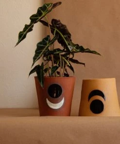 Anne Gates Studio Moon Ceramic Planter