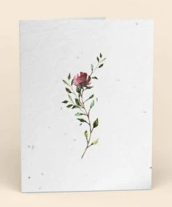 Cute Root Greeting Cards Assorted Botanical Plantable Cards - 8 Pack
