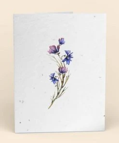 Cute Root Greeting Cards Assorted Botanical Plantable Cards - 8 Pack