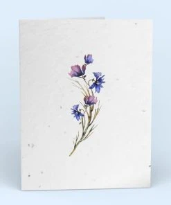 Cute Root Greeting Cards Assorted Botanical Plantable Cards - 8 Pack