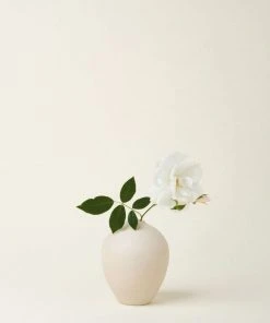 August Sage Sofia Oval Bud Vase - Tierra Home Goods