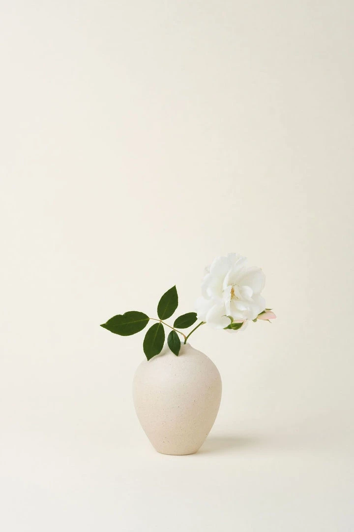 August Sage Sofia Oval Bud Vase - Tierra Home Goods 2 August Sage Sofia Oval Bud Vase - Tierra Home Goods