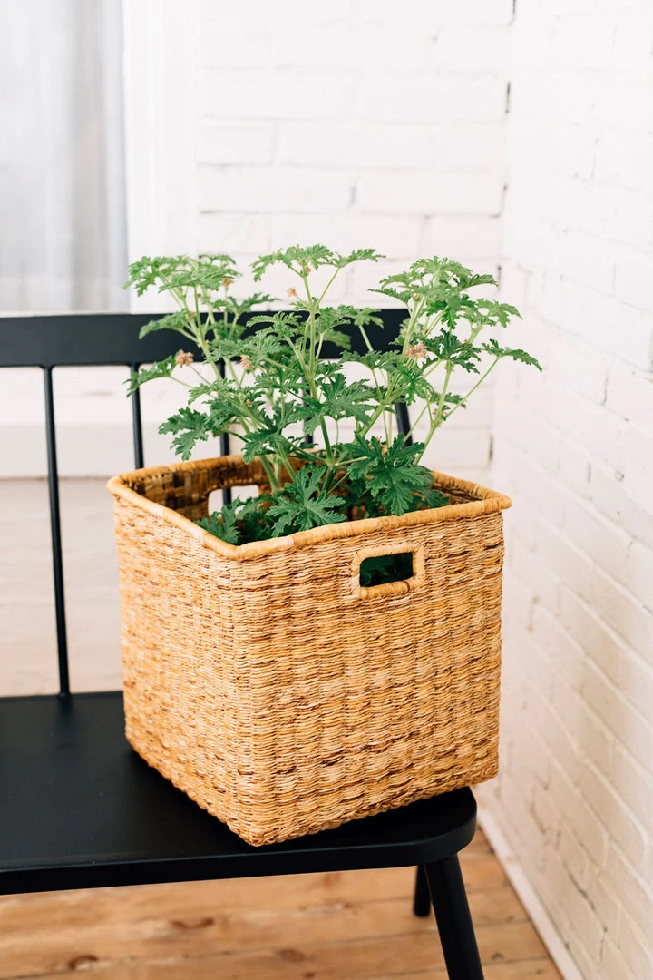 Azizi Life Banana Twine Cube Home Goods Azizi Life Banana Twine Cube Home Goods