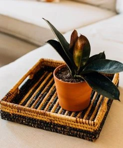 Azizi Life Parker Banana Leaf Trays