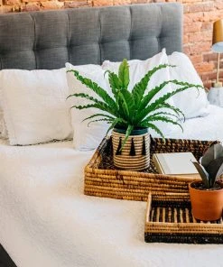 Azizi Life Parker Banana Leaf Trays