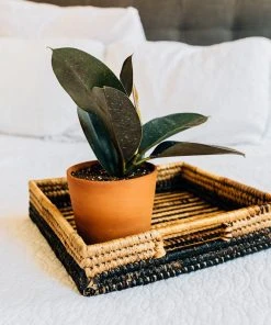 Azizi Life Parker Banana Leaf Trays