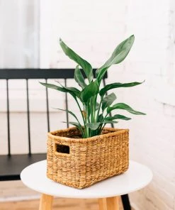 Azizi Life Banana Twine Demi Panier Best Sellers