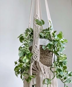 Ceremonia Large Darling Macramé Plant Hanger Best Sellers