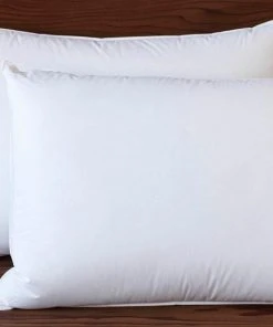 Coyuchi Feather/Down Pillow