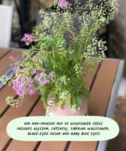 Cute Root Made In USA Colorful Menorah Plantable Cards - 10 Pack 13 Cute Root Made In USA Colorful Menorah Plantable Cards - 10 Pack