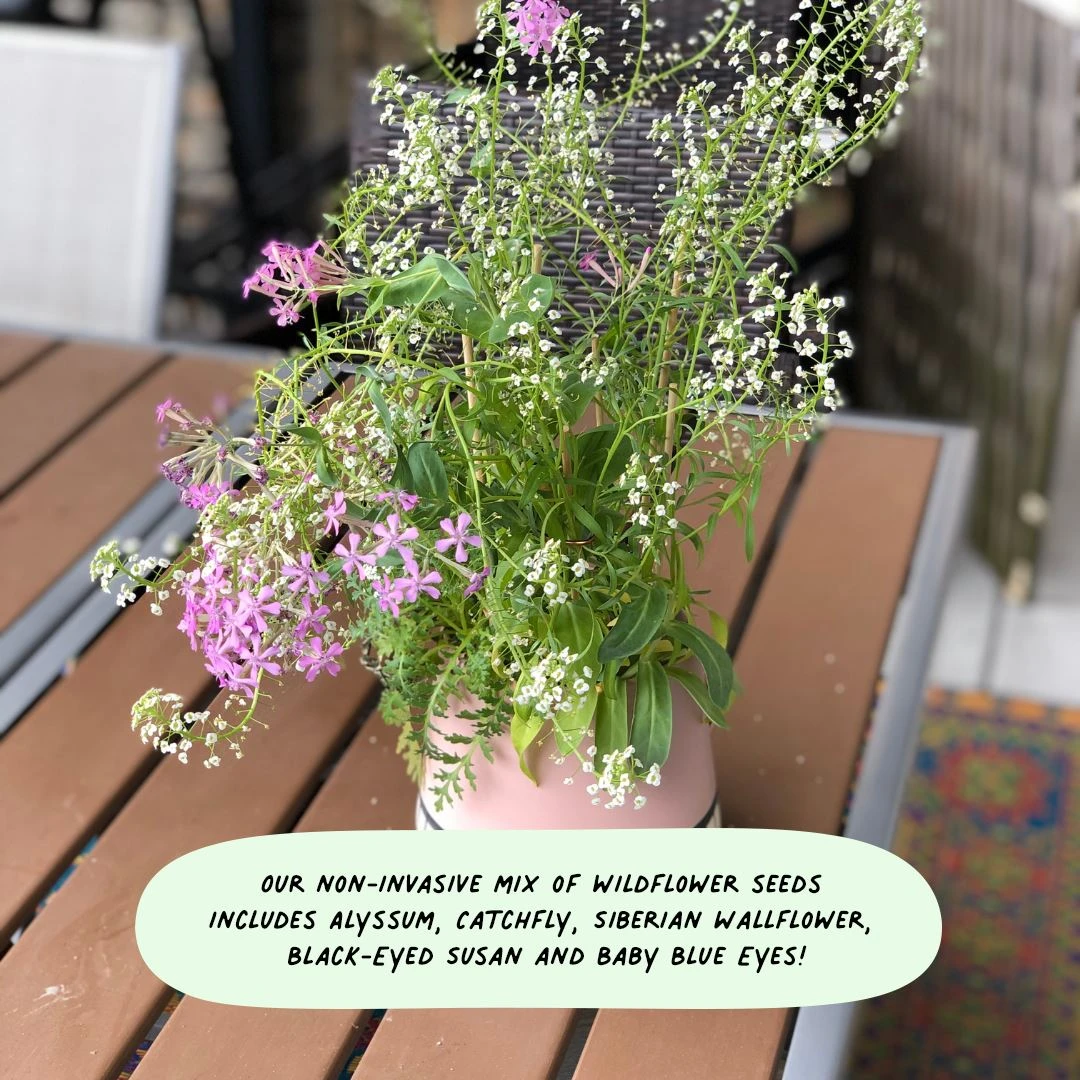 Cute Root Happy Hanukkah Plantable Watercolor Cards - 10 Pack Made In USA 7 Cute Root Happy Hanukkah Plantable Watercolor Cards - 10 Pack Made In USA