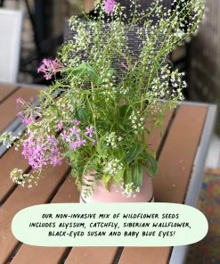 Cute Root Watercolor Gardens Plantable Cards - 8 Pack