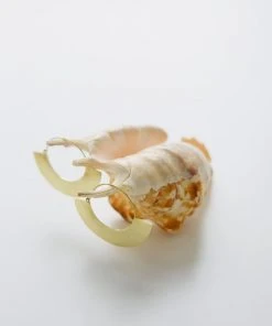 Abby Alley Jewelry Dawson Earrings 5 Abby Alley Jewelry Dawson Earrings