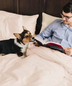 Eucalypso Deluxe Tencel Eucalyptus Sleep Bundle