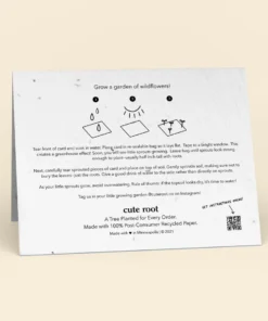 Cute Root Happ-Bee Valentine's Day Plantable Cards - 10 Pack Made In USA