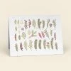 Cute Root Holiday Leaves Plantable Cards - 10 Pack