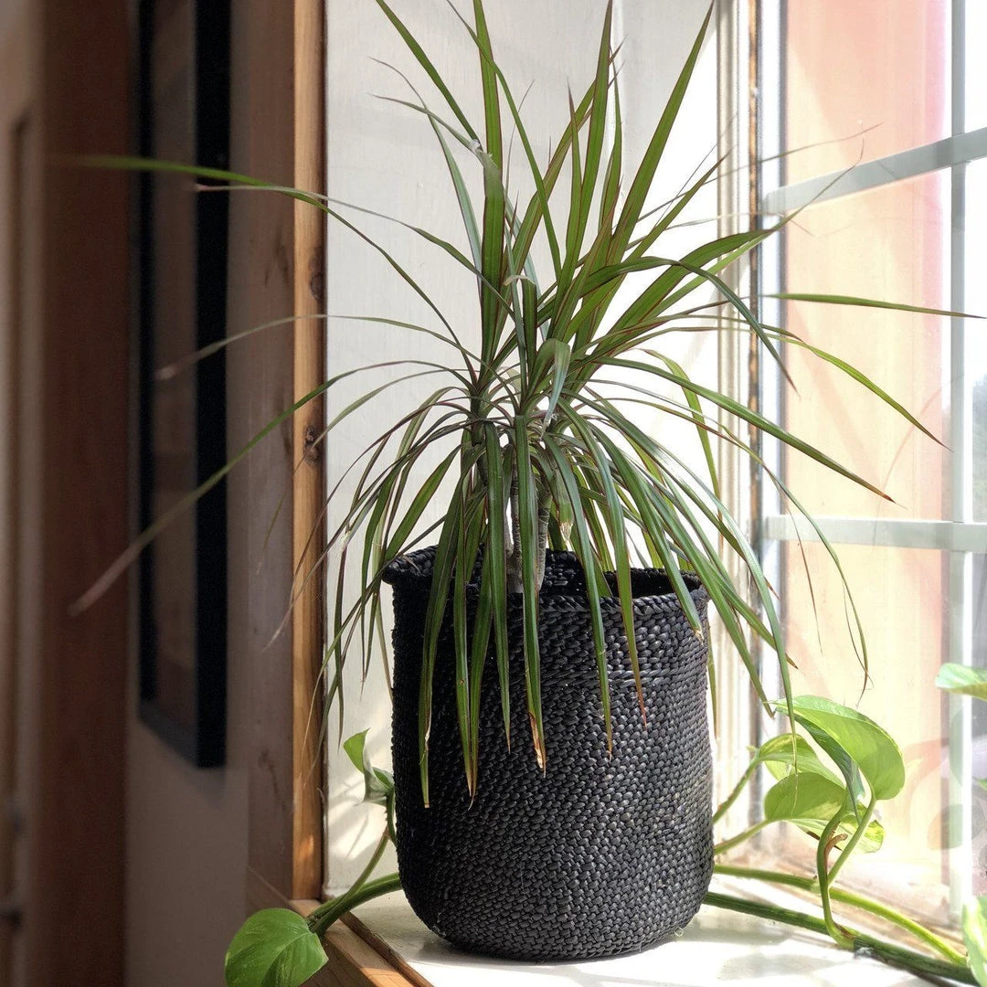 Mbare Best Sellers Iringa Baskets - Rich Black 2 Mbare Best Sellers Iringa Baskets - Rich Black