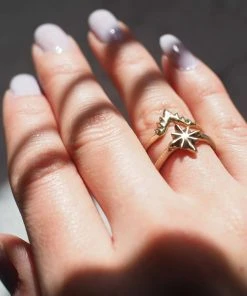 Iron Oxide Aster Ring