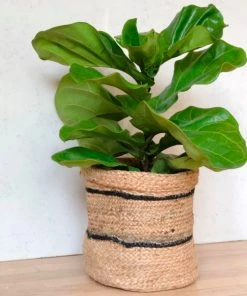 Amante Marketplace Home Goods Jute Planter