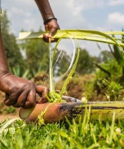 KAZI Home Goods Blush Pink + Sun Unity Trivet 9 KAZI Home Goods Blush Pink + Sun Unity Trivet