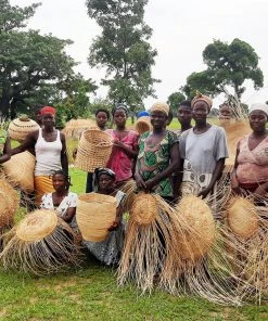 KAZI Home Goods All Natural Camel Hump Birdhouse