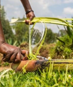 KAZI Fair Trade Lime Basket Ornament