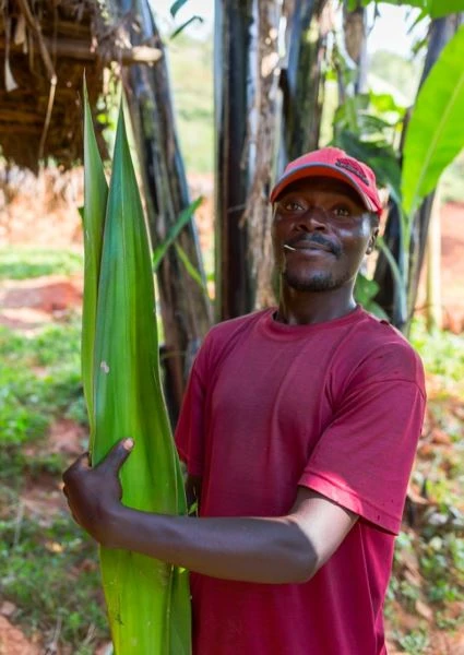 KAZI Home Goods Silver Blue Fringed Wine Bottle Coaster 4 KAZI Home Goods Silver Blue Fringed Wine Bottle Coaster