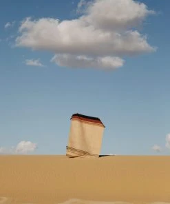 Kiliim Oasis Wool Runner / Rug Home Goods