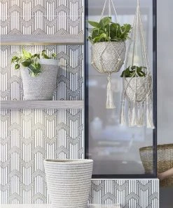 Korissa Agora Bin Set