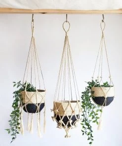 Korissa Bitan Plant Hanger Set Staff Favorites