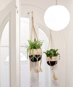 Korissa Bitan Plant Hanger Set Staff Favorites