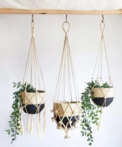 Korissa Shuly Plant Hanger