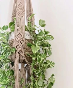 Ceremonia Large Darling Macramé Plant Hanger Best Sellers