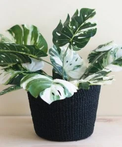 LIKHÂ Black Scallop Basket Home Goods