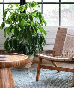 Masaya & Co. Furniture Masaya Leather Lounge Chair