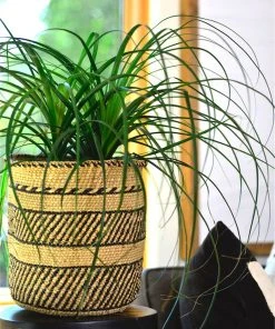 Mbare Best Sellers Iringa Baskets - Black Stripe
