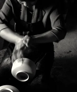 Middle Kingdom Memphis Persimmon Porcelain Vase Home Goods