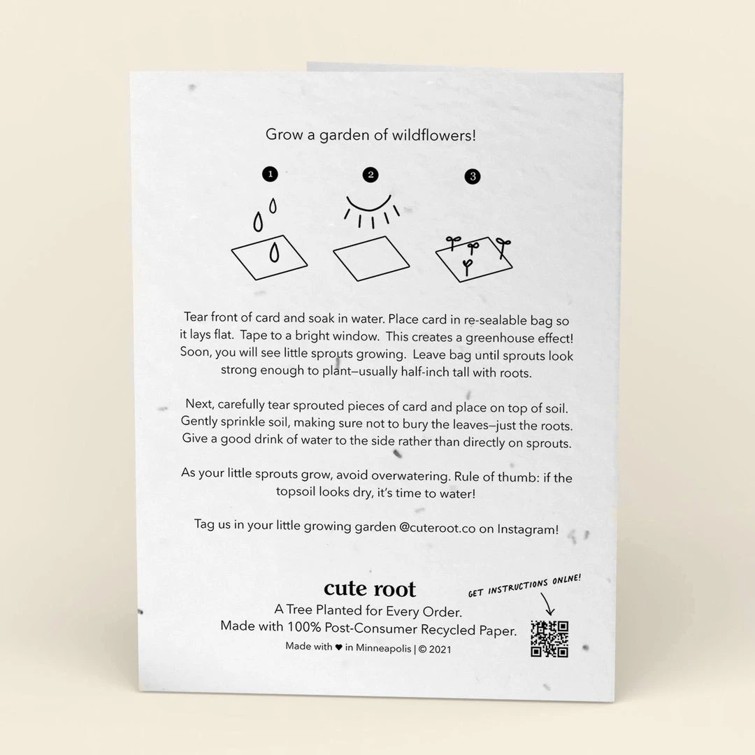 Cute Root Mistletoe Plantable Cards - 10 Pack 2 Cute Root Mistletoe Plantable Cards - 10 Pack