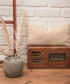 Zuahaza Pitaya Lumbar Pillow Cover